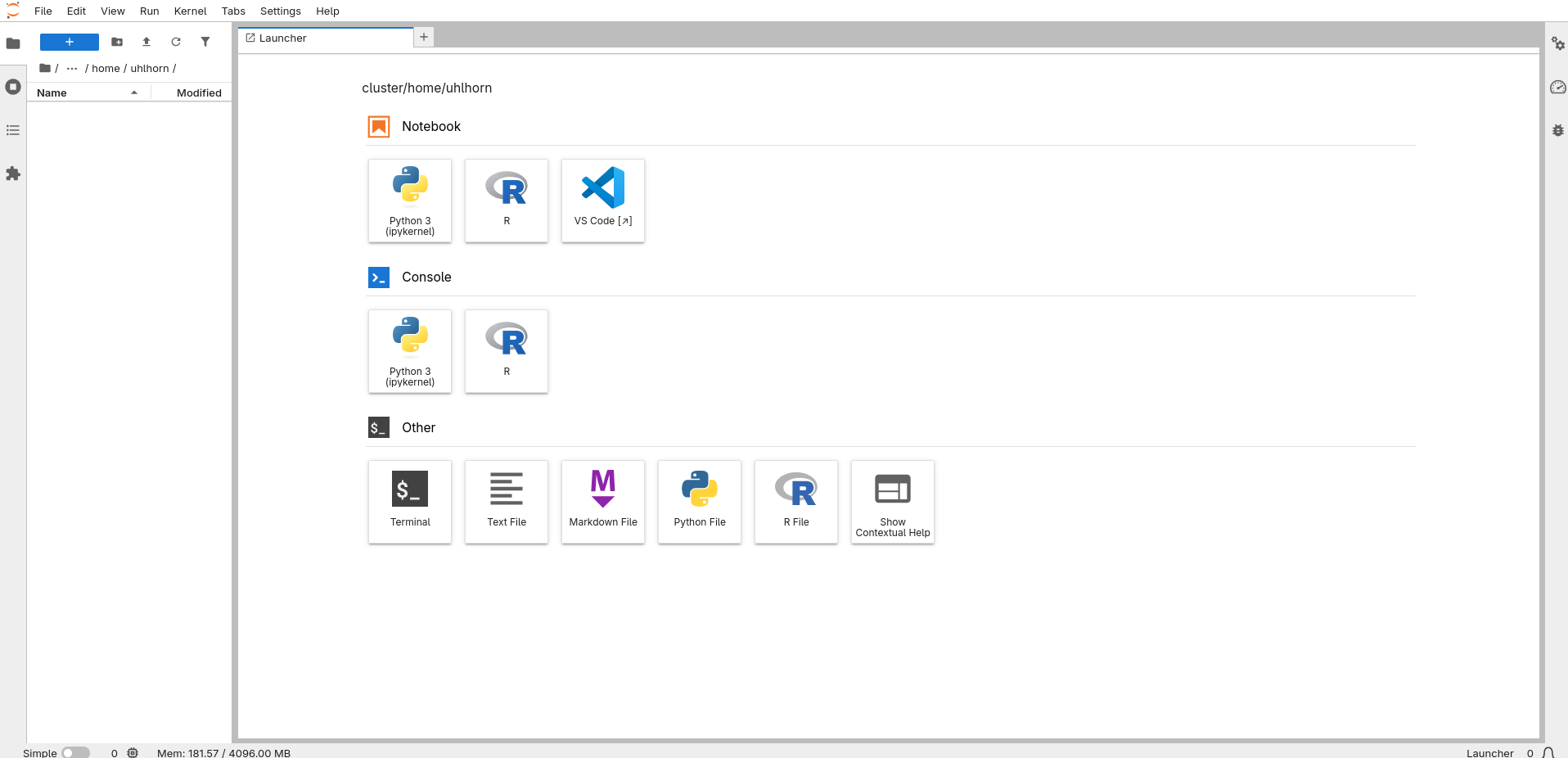 JupyterHub workspace screen, includes a file explorer and empty workspace promoting user to create a new file or start a terminal, which includes python options that are relevant to this course.